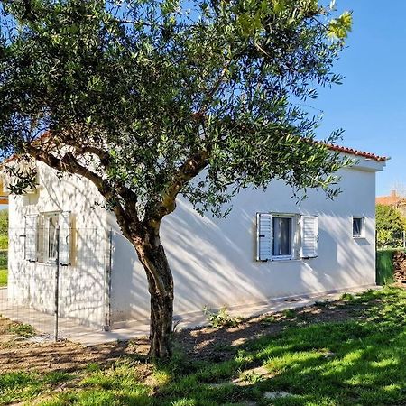 Cozy Owl'S Studio Home Pyrgos  Luaran gambar