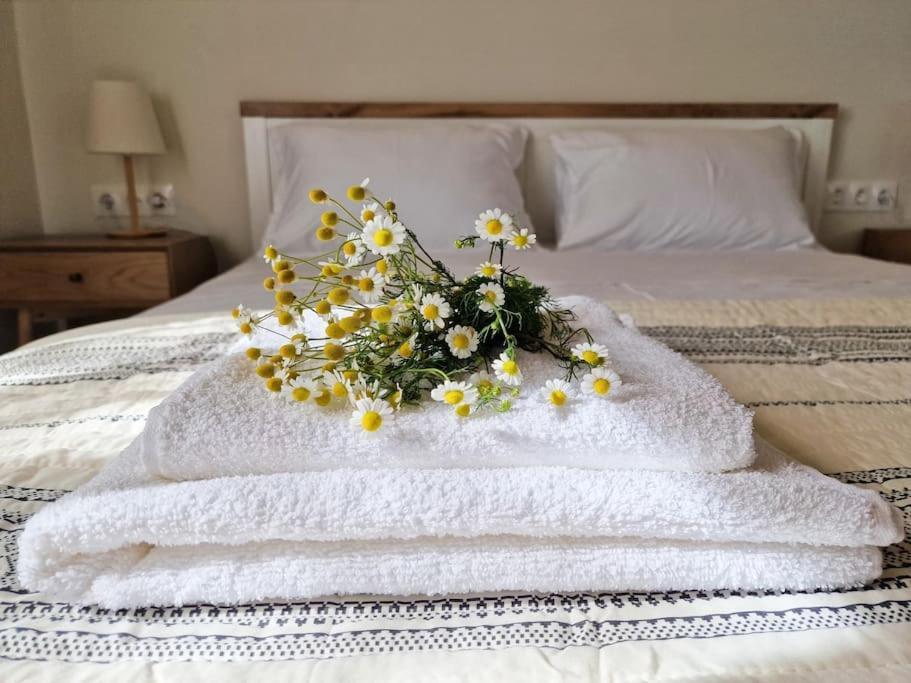 Cozy Owl'S Studio Home Pyrgos  Luaran gambar