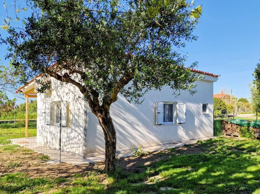 Cozy Owl'S Studio Home Pyrgos  Luaran gambar